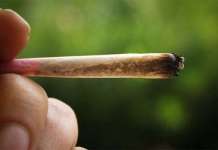 Rider porta la pizza ai carabinieri fumando uno spinello