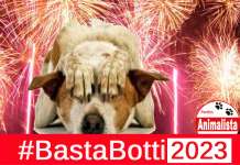 Campagna “Basta Botti 2023”, il Partito Animalista lancia l’appello alle Prefetture italiane
