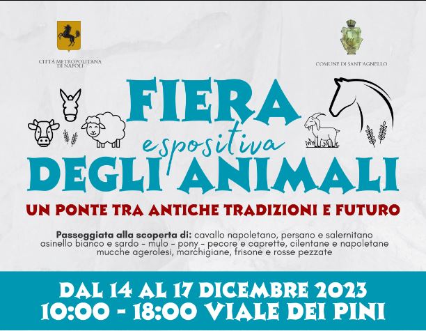 Festa di Sant'Agnello 2023': alla scoperta degli animali e di antiche  tradizioni