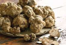 Ceppaloni, tutto pronto per ‘Tartufo al Borgo’: riflettori su territorio e aree interne