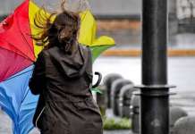 Allerta meteo per vento forte, l’avviso della Protezione Civile