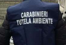 Terra dei Fuochi, primo arresto per spedizione illegale rifiuti