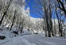 FOTO/ Neve sugli altopiani e freddo gelido: la magia dell’Irpinia