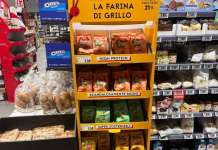 Via libera della UE: dopo la farina di grillo in arrivo anche quella di larve gialle