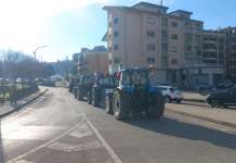 “Il cibo non è una merce”: Agricoltori Avellinesi in protesta a Roma