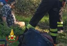 Va in cerca di asparagi e cade in un canale, 64enne recuperato dai Vigili del Fuoco