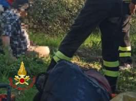 Va in cerca di asparagi e cade in un canale, 64enne recuperato dai Vigili del Fuoco