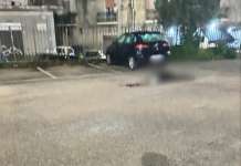 Ingegnere ucciso, la testimonianza del presunto mandante ‘protetta’ in aula