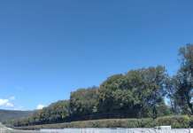 FOTO/ Reggia di Caserta, lavori ai viali nel Parco reale