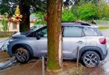 Sbanda con l’auto e finisce contro un albero: ricoverato
