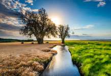 Crisi climatica: impatto sugli ecosistemi e la biodiversità globale