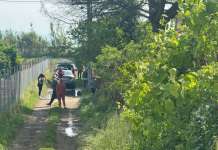 Bimbo ucciso da pitbull, Aidaa: “Accertare la dinamica dei fatti”