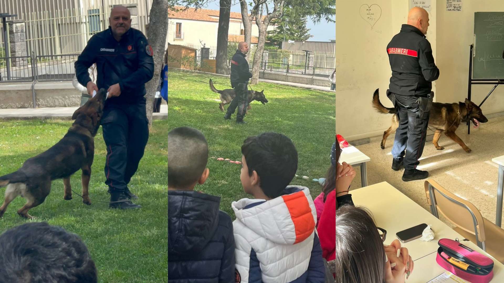 “Neo”, cane carabiniere incontra gli studenti di Lacedonia