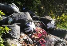 Rifiuti, depositi illeciti a Casoria: sequestri e denunce