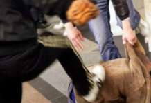 Uomo picchiato da baby gang, il fratello: “Pestaggio brutale”