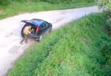 Sversa ripetutamente rifiuti in area vincolata: preso 50enne