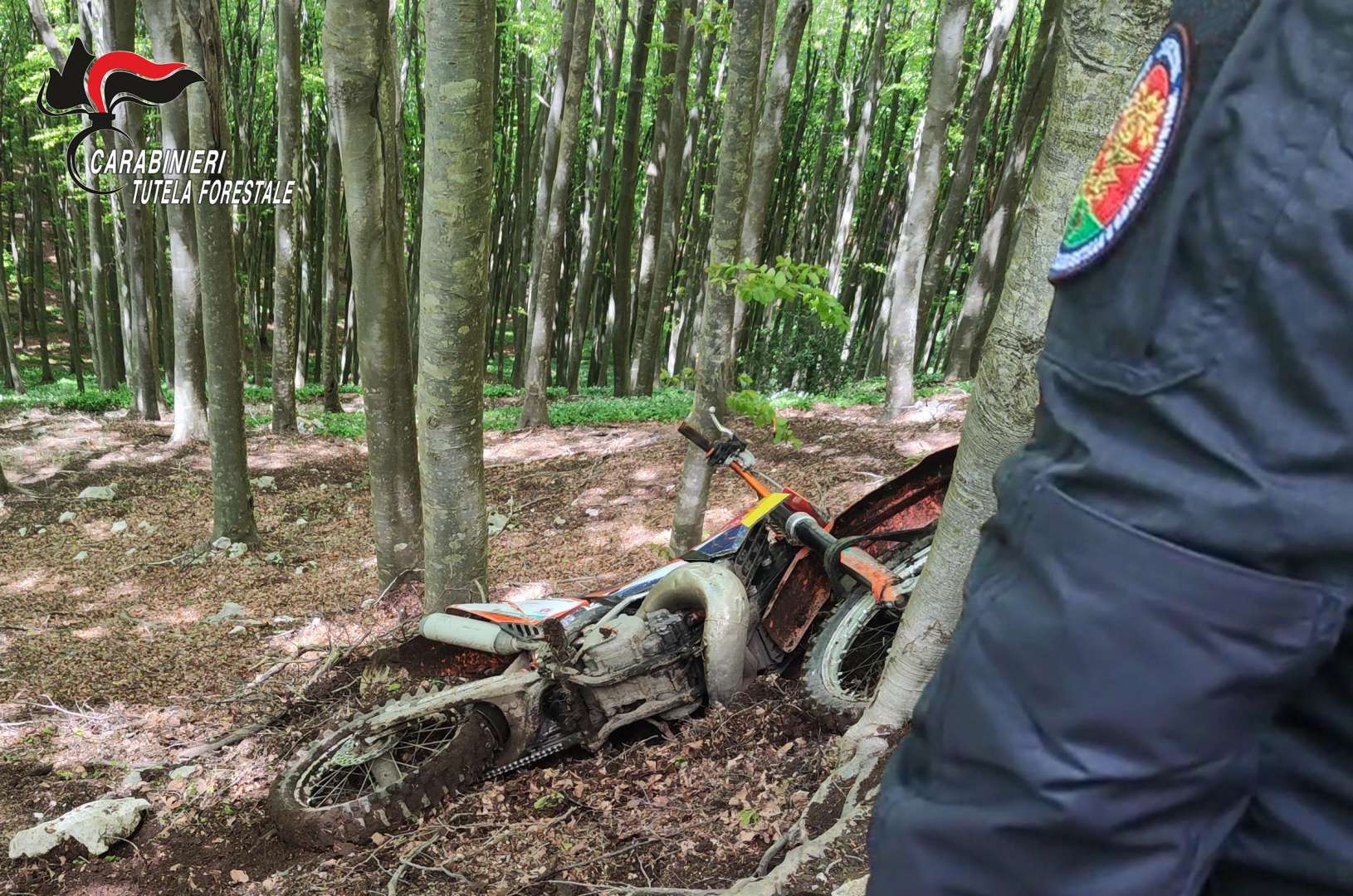 Motocross senza autorizzazione la Forestale blocca il raduno