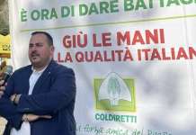 Blitz Coldiretti contro il falso ‘made in Italy’, Minicozzi: “bloccato un carico di 44 container con pomodoro”