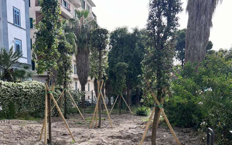 Parco Mascagna, giovani alberi a rischio