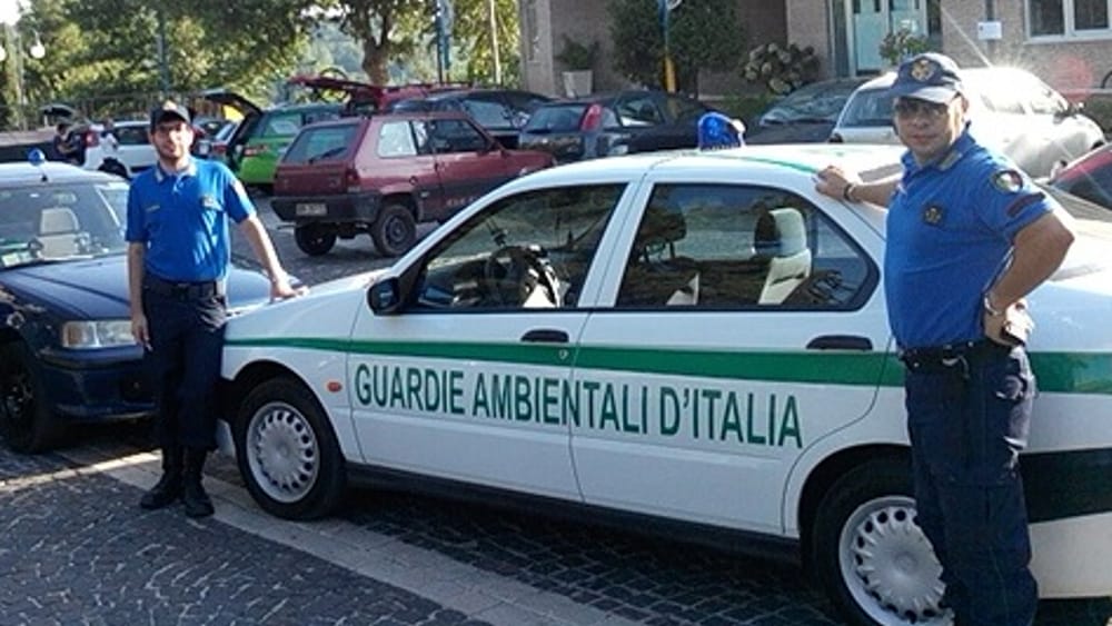 Gattino intrappolato nel motore di un’auto, salvato dal “Gadit”