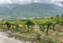 Maltempo in Valle telesina: urge prevenzione e interventi delle istituzioni