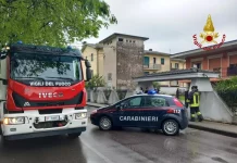 In bici travolta da un furgone, muore 40enne