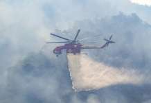 FOTO/VIDEO – Incendio ai Camaldoli, ancora fiamme