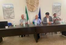 Nocciolo, agronomi irpini in campo per combattere cimice asiatica