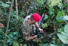 Monti Lattari, sequestrati un fucile e marijuana nascosti nella vegetazione