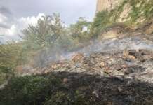 FOTO – Riardo, contenuto e spento incendio nell’area boschiva