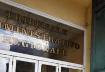 Abbattimenti bufale, allevatore vince nuovo round con l’Asl Caserta