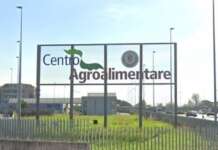 Ammodernamento, riqualificazione ed efficientamento del Centro Agroalimentare: affidata la progettazione
