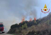Incendio nel Cilento, caschi rossi al lavoro