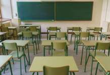 Airola, allarme topi a scuola: stop alle lezioni per due giorni