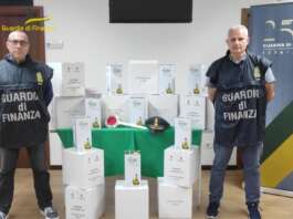 Olio d’oliva di provenienza sconosciuta, maxi sequestro in Irpinia