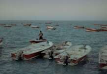 Pianeta Mare Film Festival, a Napoli 40 opere sull’ambiente