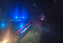Gli cade un albero in testa e muore a 45 anni: tragedia in Irpinia