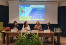Innovazione e collaborazione nella didattica digitale: il seminario