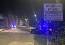 Gattino legato all’albero con una corda: denunciato proprietario