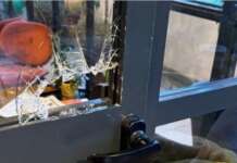 Benevento, furto alla Libreria Ubik: ‘E’ il secondo in poco tempo. Ora solo amarezza e insicurezza’