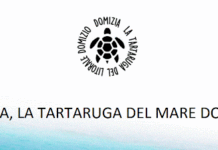 Domizia, reati ambientali a Lago Patria: il comunicato dell’associazione
