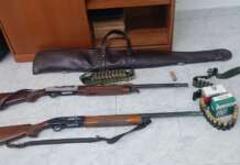 Serre, blitz Carabinieri e Guardie ambientali: denunciati tre bracconieri