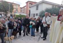 VIDEO/ Nel giorno di San Francesco la benedizione dei cagnolini