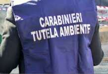 Castellabate, sequestrati due terreni nel Parco del Cilento