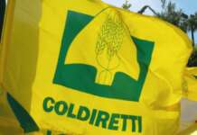 Coldiretti, cala latte bufala: intesa con prezzo e scadenza unici