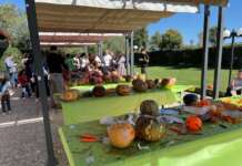 Grande successo per “Il Giardino delle Zucche”: evento all’insegna del divertimento e della creatività