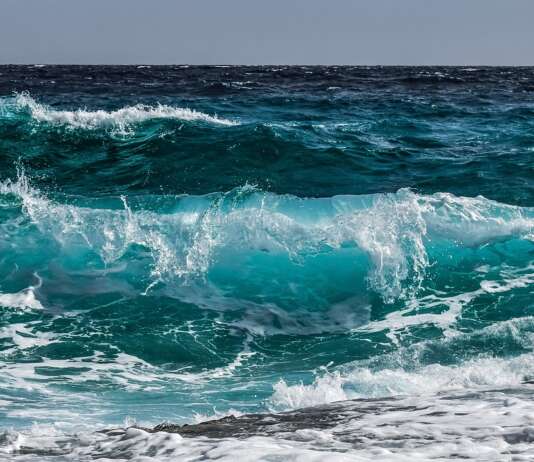 La Caritas accoglie i bambini ucraini per le vacanze: in prima fila la Campania Mare cilento
