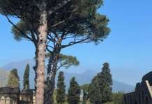 Scavi di Pompei, record di presenze nella prima domenica del mese