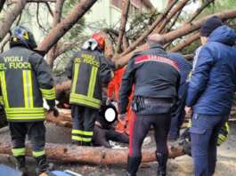 Schiacciati da albero in Università: uno dei tre giovani in pericolo di vita