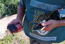 Richiami acustici vietati, denunciato un cacciatore